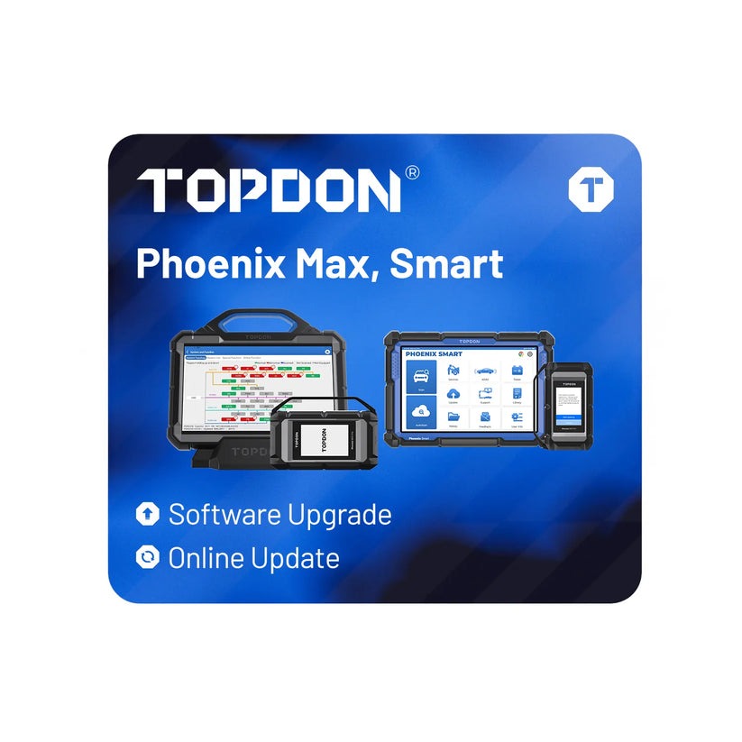 Phoenix Smart / Phoenix Max Passenger Car Online Update - One Year